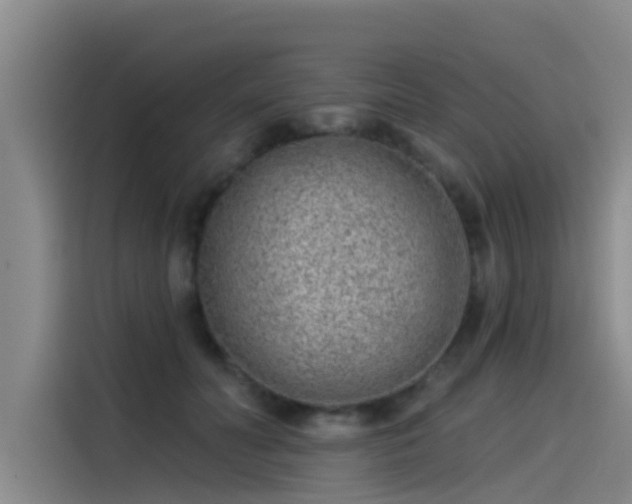 X0000115230606200911061129