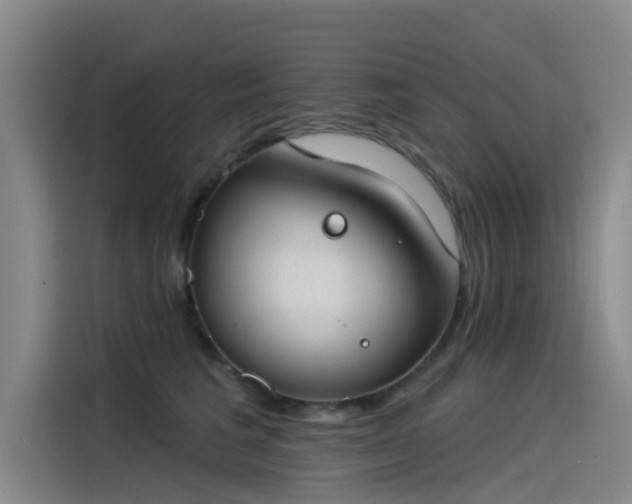 X0000115230613200911061129