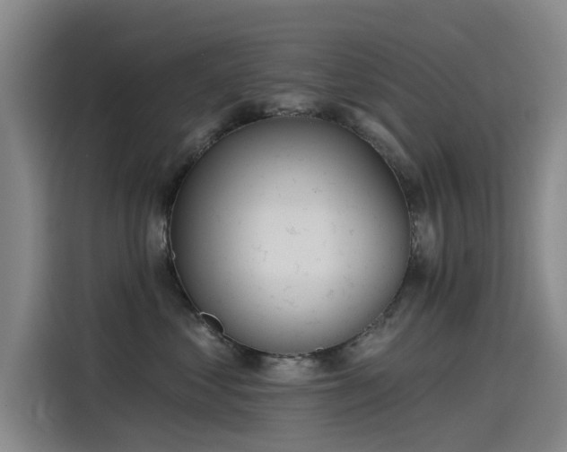 X0000115230621200911061128