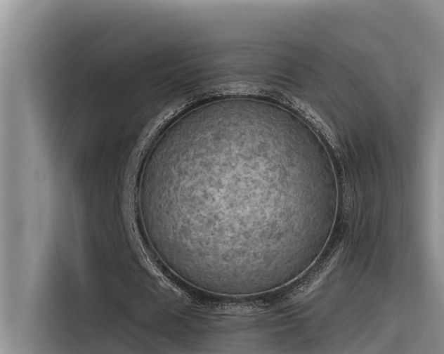 X0000115230625200911061128