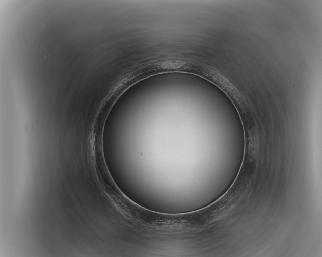 X0000115230626200911061128
