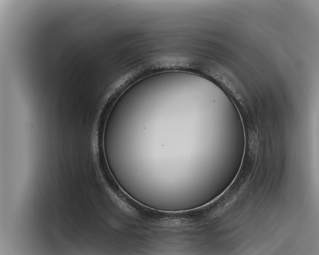 X0000115230629200911061128