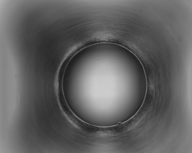 X0000115230630200911061128