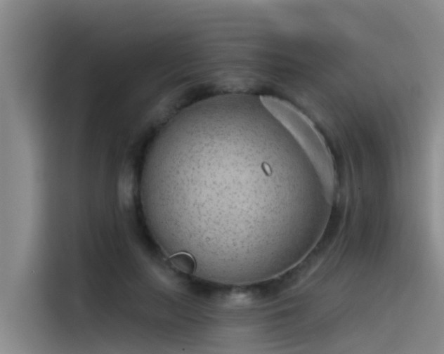 X0000115230647200911061128