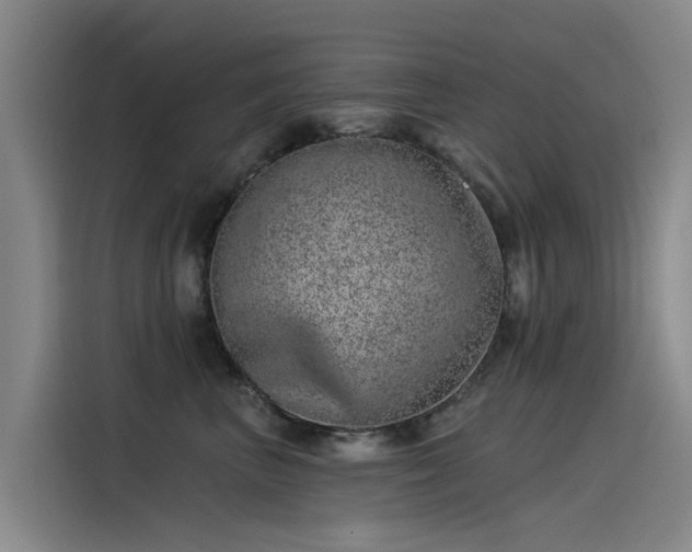 X0000115230667200911061128