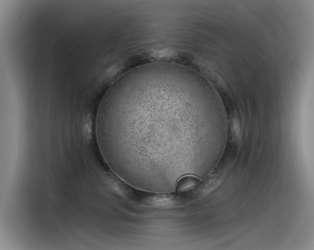 X0000115230668200911061128