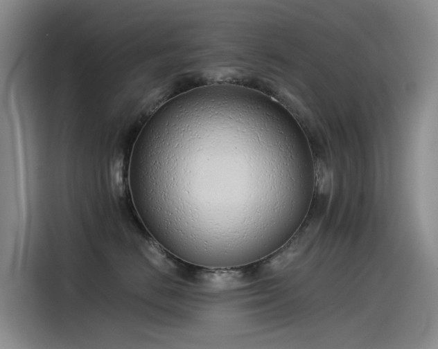 X0000115230670200911061128