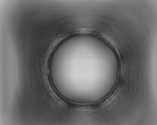 X0000115230673200911061128