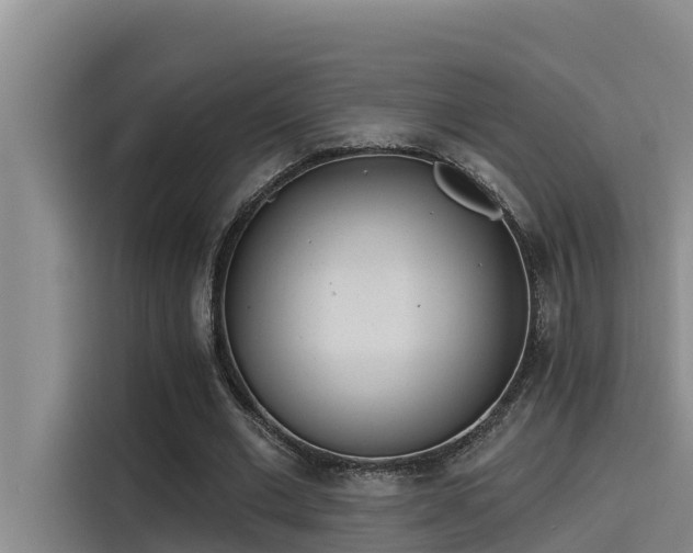 X0000115230677200911061128