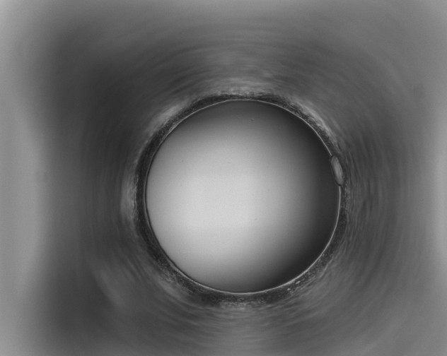 X0000115230679200911061128