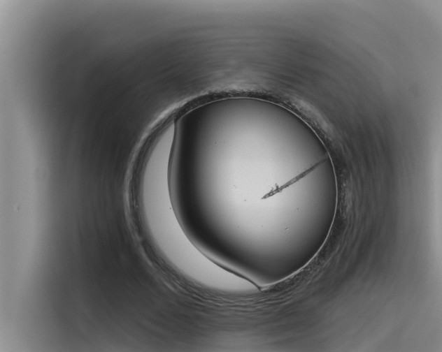 X0000115230680200911061128