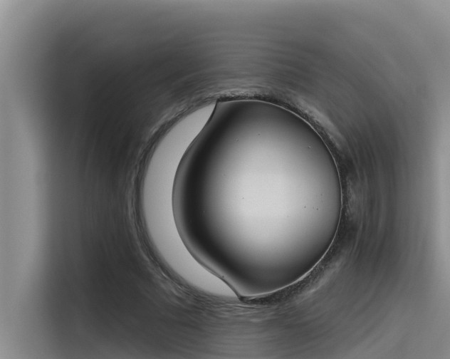 X0000115230681200911061128