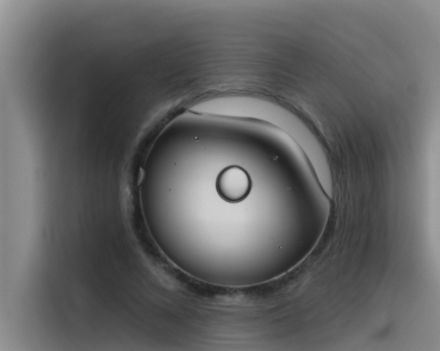 X0000115230688200911061128