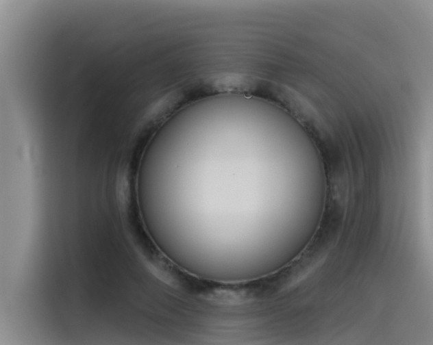 X0000115230690200911061128
