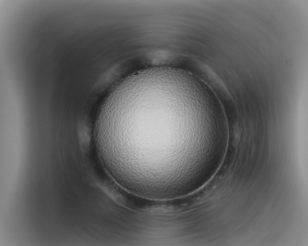 X0000115230691200911061128
