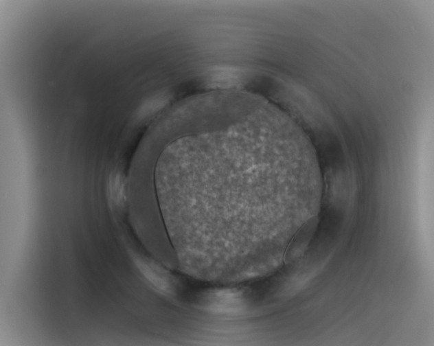 X0000115230692200911061127