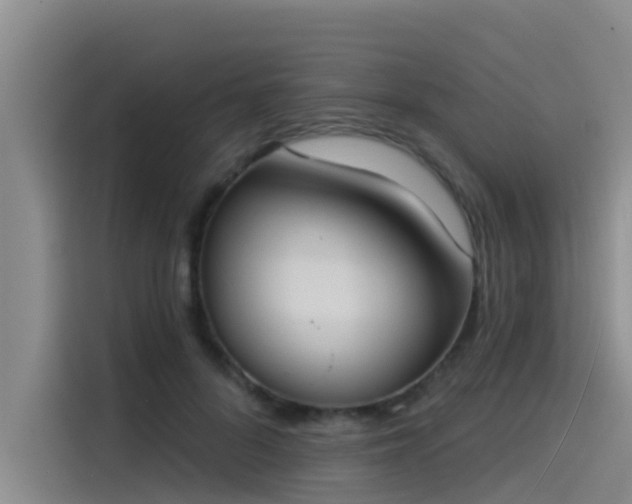 X0000115230696200911061127