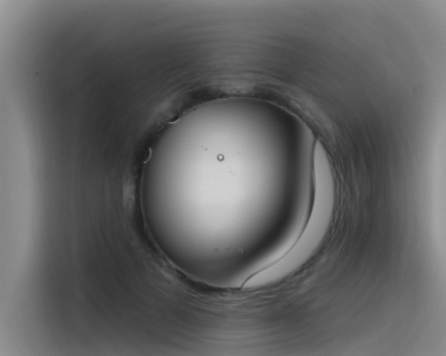 X0000115230697200911061127
