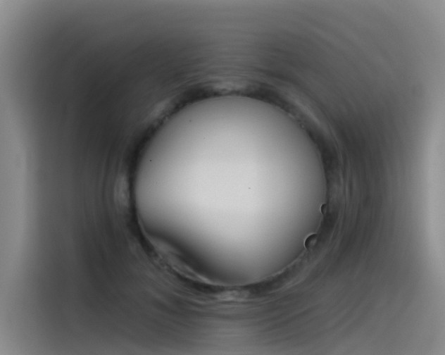 X0000115230700200911061127