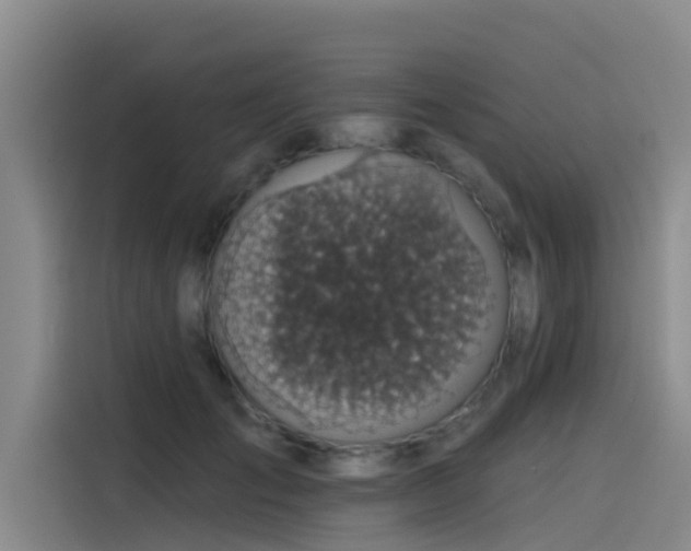 X0000115230701200911061127