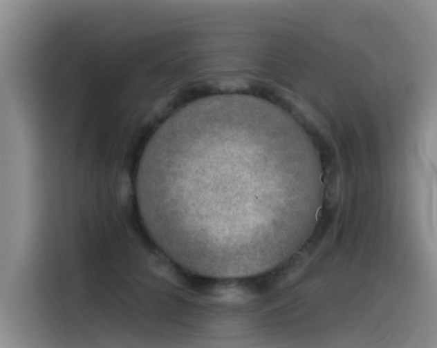 X0000115230704200911061127