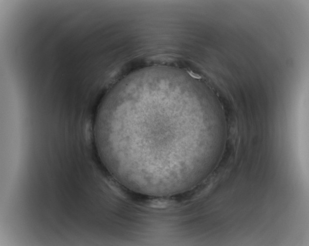 X0000115230708200911061127