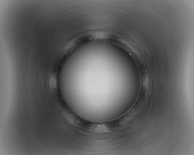 X0000115230715200911061127