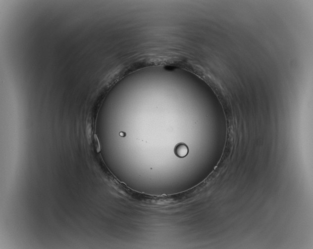 X0000115230716200911061127