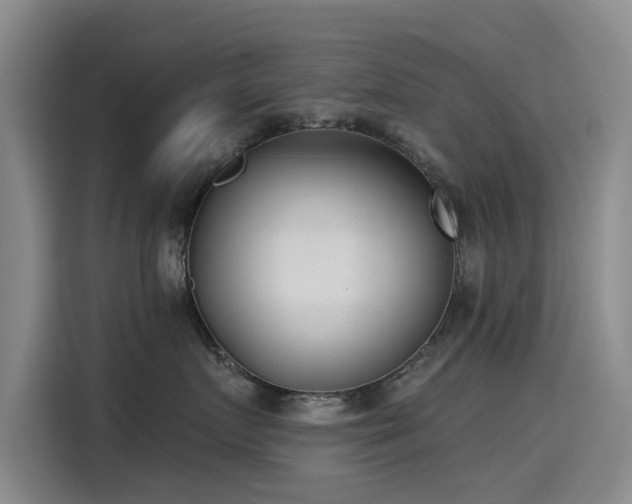 X0000115230719200911061127