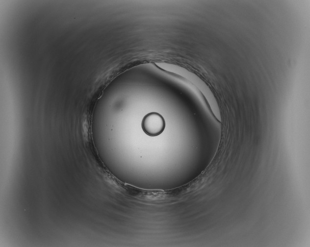 X0000115230720200911061127