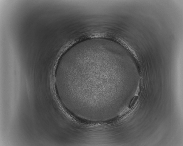 X0000115230721200911061127