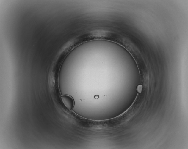 X0000115230731200911061127