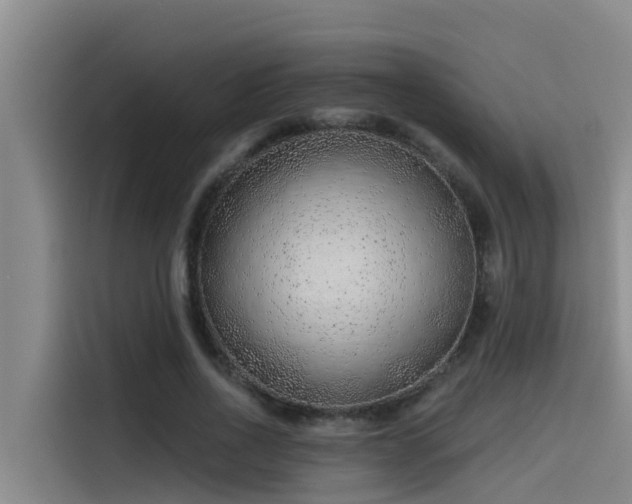 X0000115230734200911061127