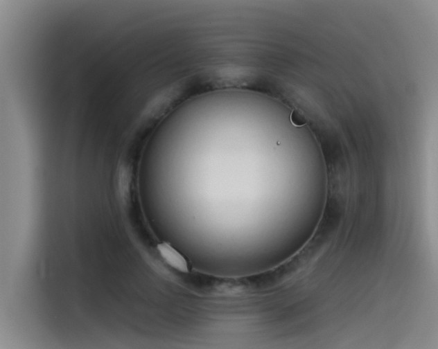 X0000115230742200911061127