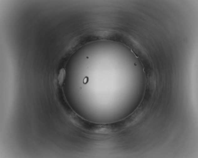 X0000115230750200911061127