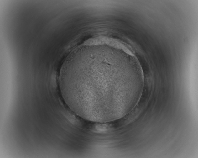 X0000115230757200911061127