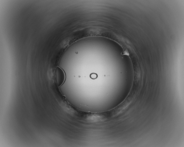 X0000115230759200911061127