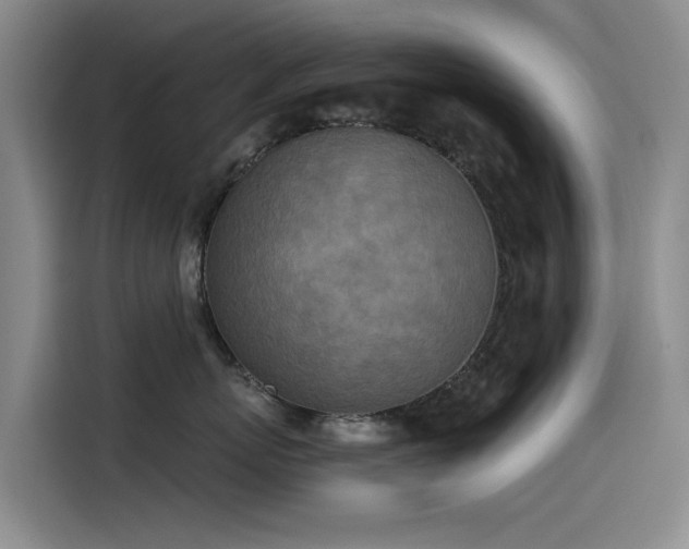 X0000115230767200911061127