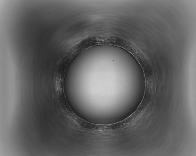 X0000115230770200911061126