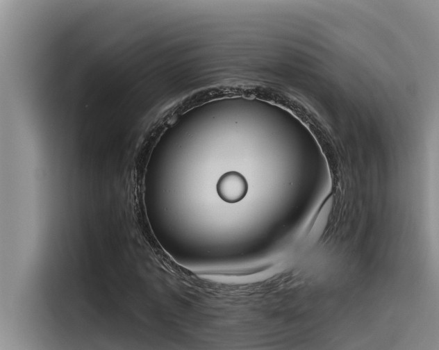 X0000115230773200911061126