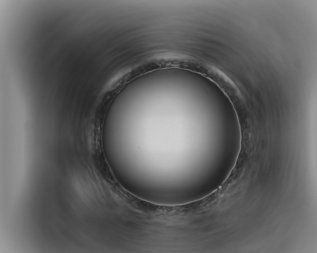 X0000115230775200911061126