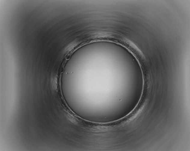 X0000115230777200911061126