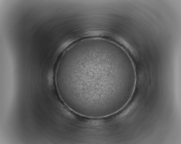 X0000115230778200911061126