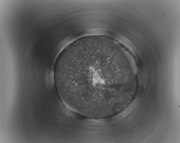 X0000115230781200911061126