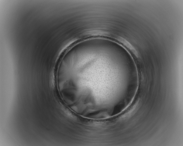 X0000115230782200911061126