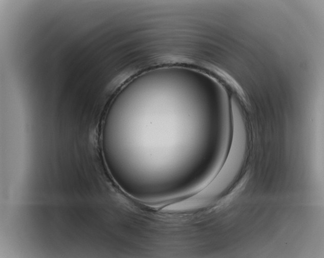 X0000115230785200911061126