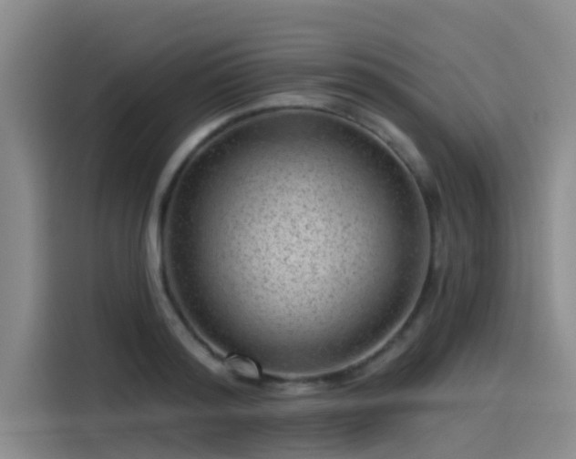X0000115230796200911061126