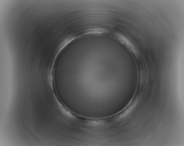 X0000115230802200911061126