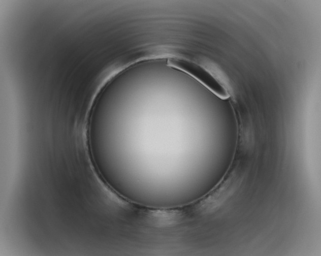 X0000115230805200911061126