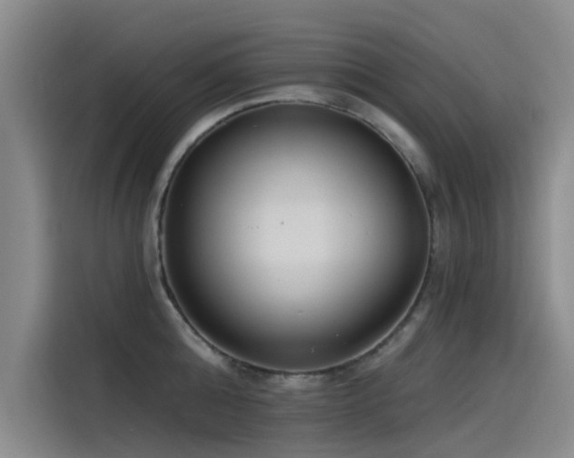 X0000115230808200911061126